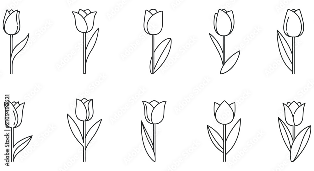 Obraz premium Tulip Line Art Collection On White Background artwork black and white bloom