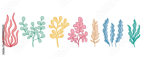 Set of different seaweeds. Bunch of underwater plants of different colors and shapes. Elements of the underwater world of sea or ocean, vector graphics