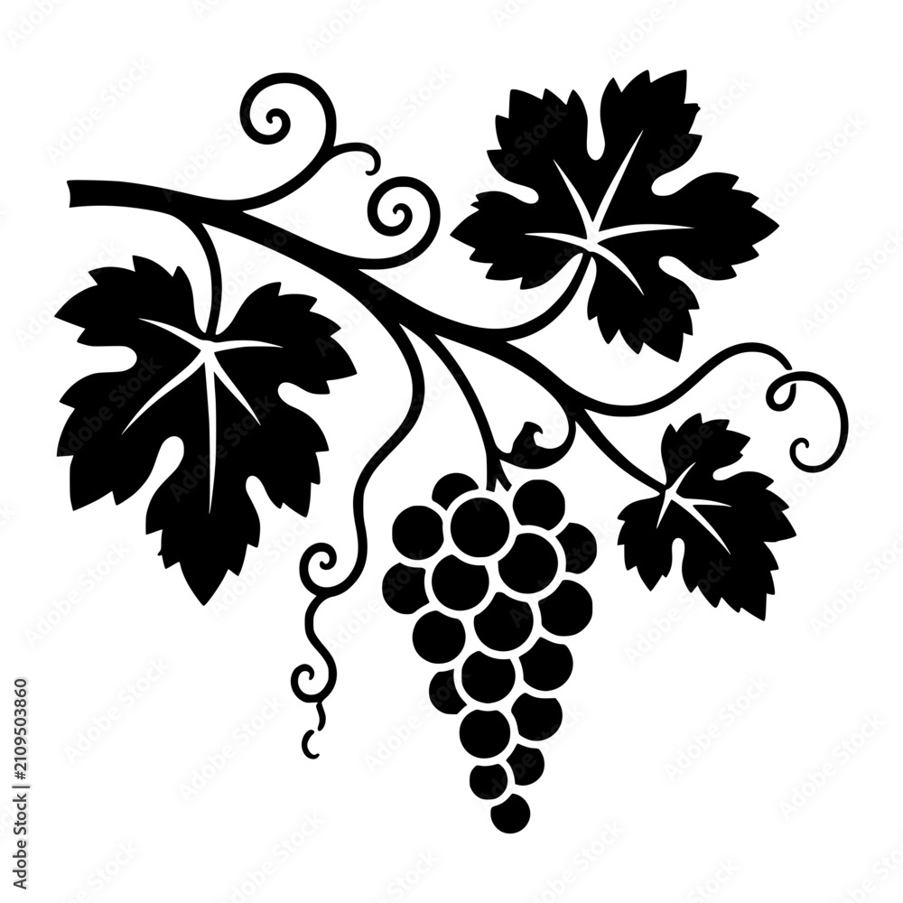 Obraz premium Grapevine Branch black silhouette vector illustration, simple flat clipart design isolated on white background