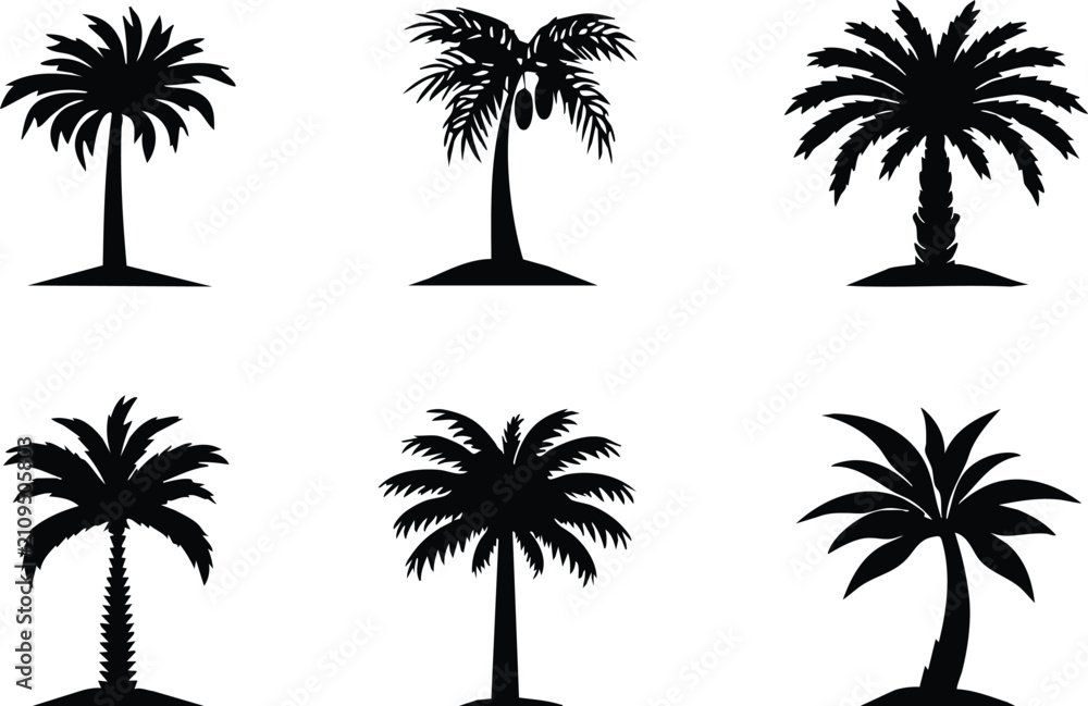 Fototapeta premium Black silhouettes of various palm trees isolated on transparent background for designers.