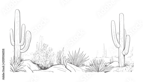 Obraz na płótnie Black and white of saguaro cacti and desert plants cactus