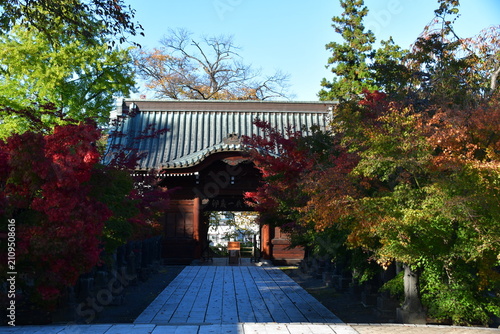 Obraz na płótnie 青森県 弘前市の最勝院