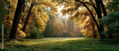Sunlit autumn park with golden trees and green meadow creating a peaceful seasonal landscape background with copy space for banners and advertising