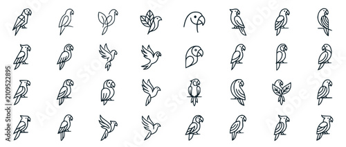 Set of Minimalist Line Art Parrot Icons and Logo Designs