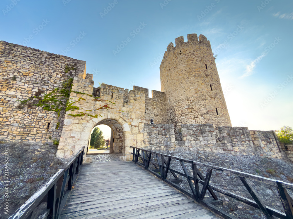 Obraz premium Zindan Gate and wooden bridge at Belgrade Fortress in Serbia
