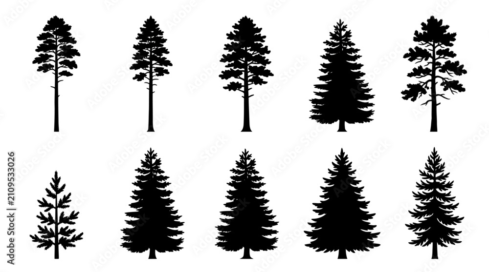 Obraz premium CAD tree lines, Black grass, Pine tree silhouettes set, 10 coniferous evergreen forest tree vectors, black spruce and fir tree icons for landscape design and outdoor branding Vector