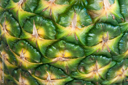 Pineapple crust detail.  Tropical fruit texture.