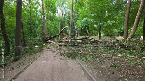 Fallen trees and massive roots block a pathway in a dense green park after a severe summer hurricane. Broken branches scatter across the ground. Red and white warning tape restricts access.