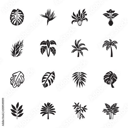Tropical leaves and exotic plant silhouette collection featuring palm monstera and jungle foliage icon designs.