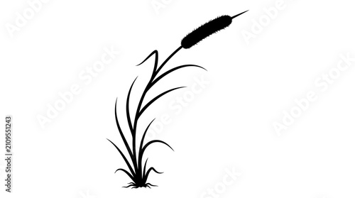 Bild auf Leinwand CAD tree lines, Black grass, Minimalist cattail silhouette vector, black marsh g