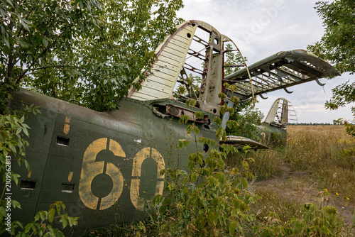 Quadro su tela Weathered An-2 aircraft in overgrown greenery with faded markings and broken win