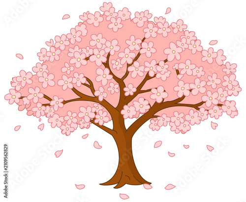 cherry blossom tree