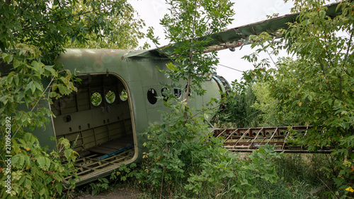 Forgotten cargo aircraft in greenery showing interior details on abandoned airfield. Nature overgrowing military airplane