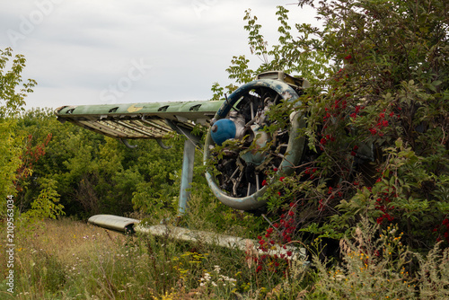 Rusted abandoned airplane fuselage and propeller overtaken by summer colorful nature