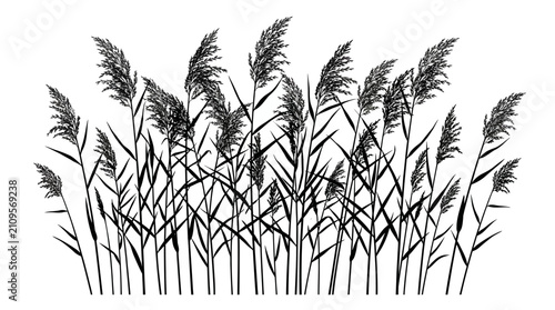 Obraz na płótnie CAD tree lines Tree Black tree silhouette Black grass Black silhouette of common