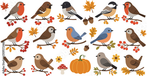 Collection Of Various Songbirds And Autumn Elements In A Flat Vector Illustration fall songbird birds
