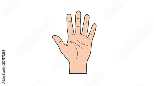 Illustration of a human hand with fingers spread open and palm visible