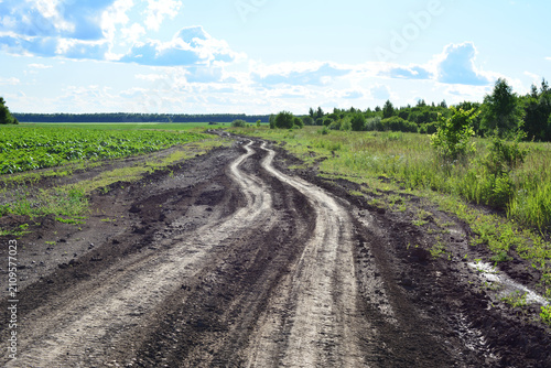 Winding Dirt Road Through Countryside Field going to horizon
