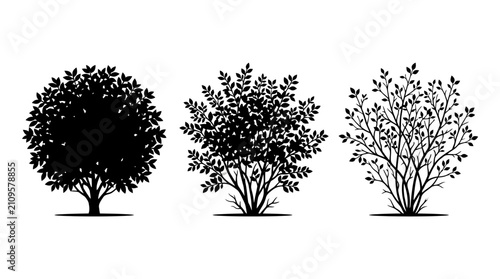Konstfotografi Three distinct shrub silhouettes with varying foliage densities are arranged horizontally on a clean white background