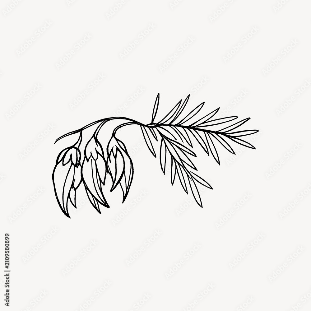 Obraz premium Minimalist botanical line art