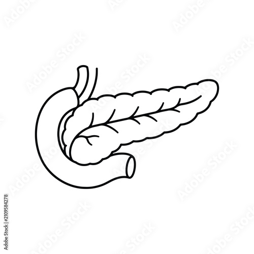 Pancreas Human Anatomy Clean Line Art Icon