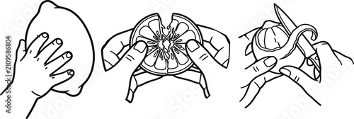 Cuadro en lienzo Black and white line art illustration of citrus fruit preparation showing holdin