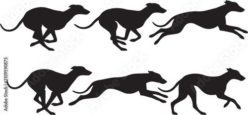 running greyhound dog silhouettes collection racing poses vector illustration