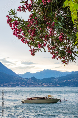 Motorboat floats on a mountain lake framed by flowering branches and distant peaks. Lake Como Italy. Scenic waterfront travel represents leisure, tourism and peaceful escape in nature.
