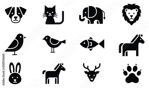 Photography Animal icon set