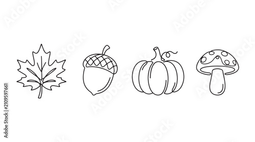 Minimalist autumn line art icons, set of 4 fall nature vector elements, black and white maple leaf acorn pumpkin and mushroom illustrations