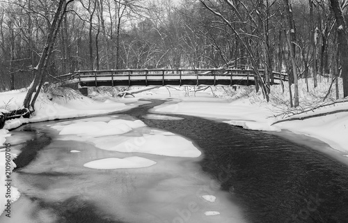 bridge in winter