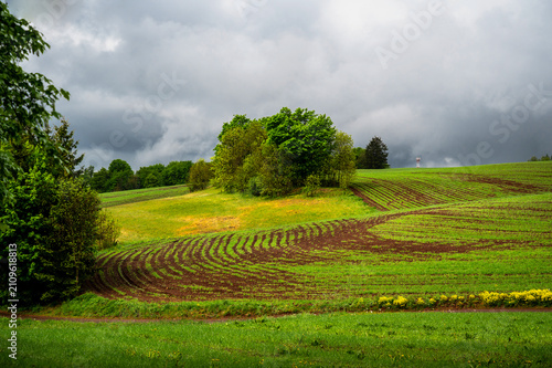 Undulating agriculture landscape with field, meadow and trees after rain, spring, Czech paradise.