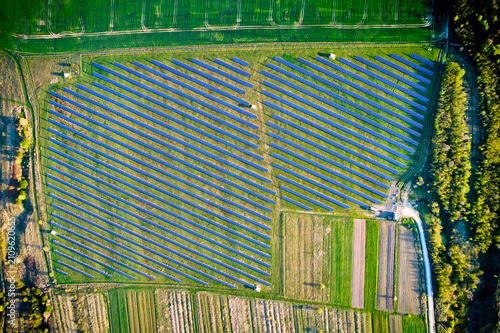 Fotografie Top aerial view of large solar farm integrated with farmland, rows of photovolta
