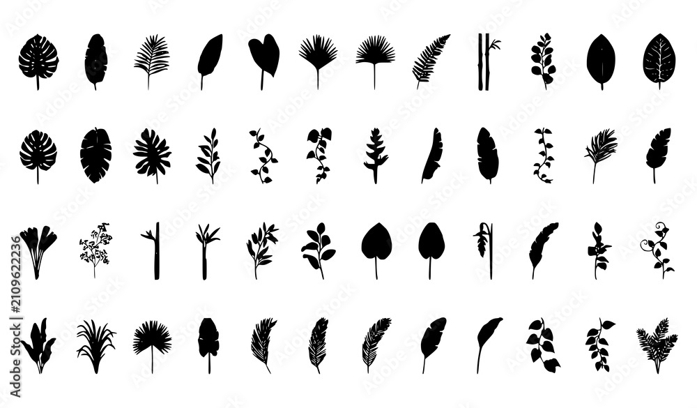 Fototapeta premium Hand Drawn Tropical Leaves Silhouette Vector Set with Exotic Branches Botanical Foliage Collection