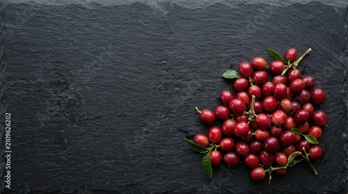 red currants on black slate background