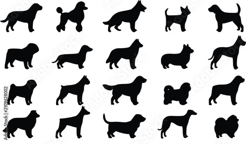 Foto Set of black silhouettes of various dog breeds standing in a collection of diffe