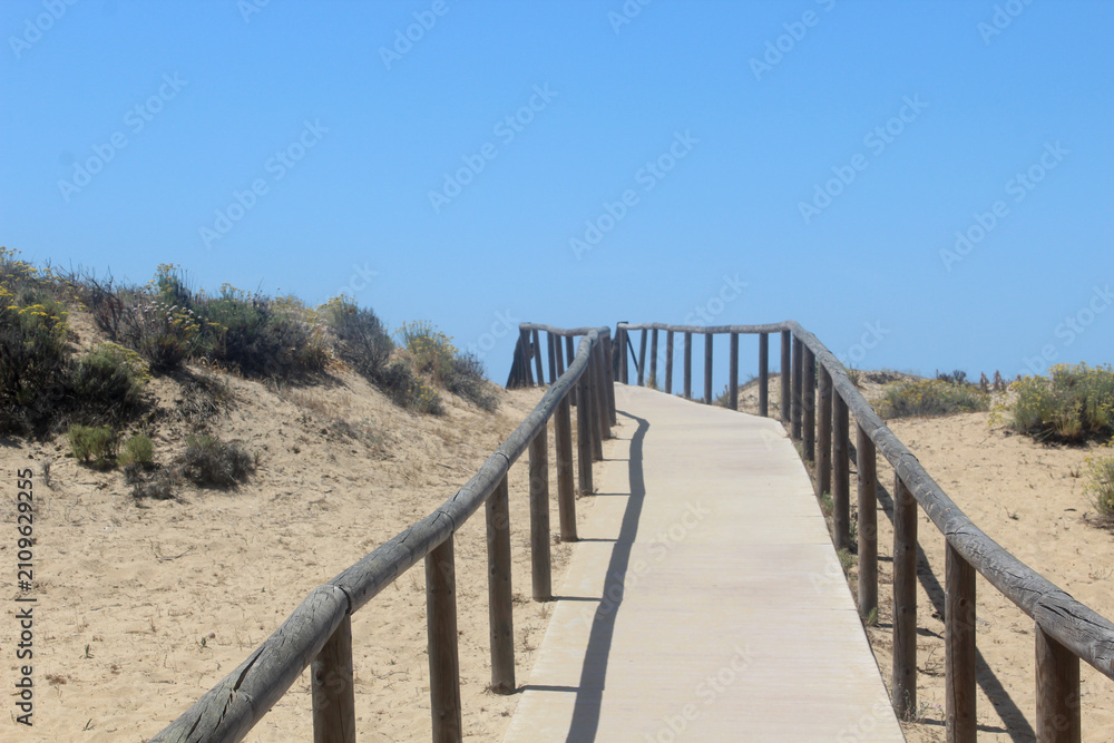 Obraz premium Wooden walkway leading to a sunny beach, surrounded by dunes and coastal scenery