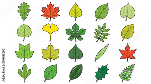 Tree leaf types icon set for botany and nature education