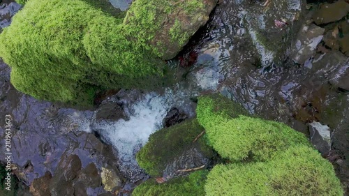 Small Stream Flowing Among Moss Covered Rocks in Forest