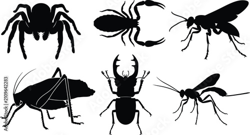 Konstfotografi Insect and arachnid silhouette icon set featuring spider scorpion wasp stag beet