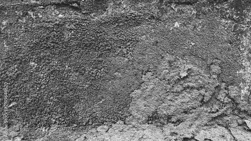 Foto Close-up monochrome rough cement wall texture with coarse plaster details