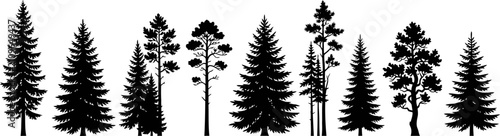 Foto Set of various pine trees silhouettes on a white background for nature or outdoo