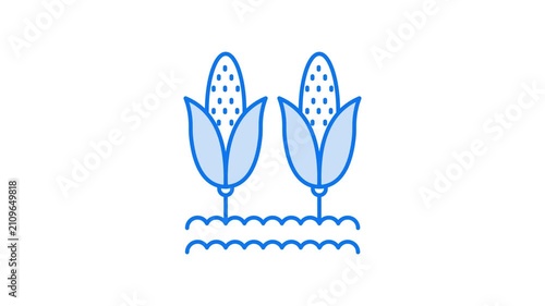 Cornstalks animated video icon