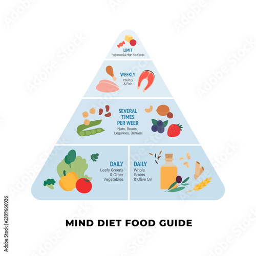 MIND diet food guide pyramid infographic. Flat vector illustration of brain health nutrition hierarchy with daily vegetables, grains, weekly fish and limited processed food isolated on white.