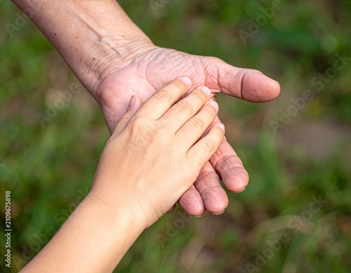 Two hands gently connect, one larger, one smaller. Nature's soft green backdrop frames the touch. Care and trust linger between the palms. This moment speaks of support and connection