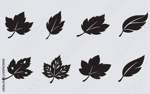 Stylized Botanical Leaf Silhouette Vector Icon