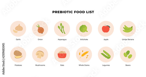 Prebiotic food list infographic. Flat vector illustration of gut health nutrition. Garlic, onion, asparagus, banana, oats and legume icons isolated on white background. Diet choice.
