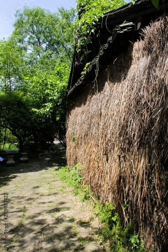 The scenery of Xixi Wetland in Hangzhou, China