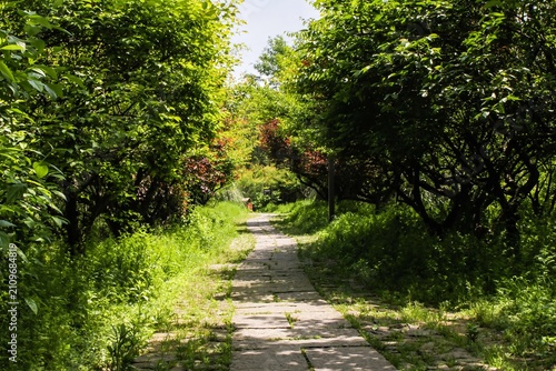 The scenery of Xixi Wetland in Hangzhou, China