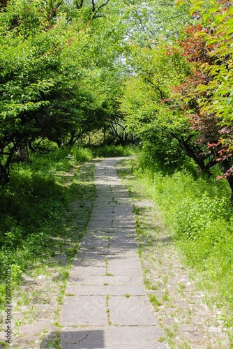 The scenery of Xixi Wetland in Hangzhou, China